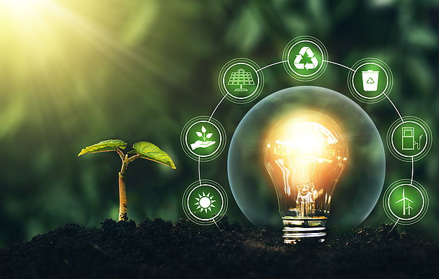 Environmental Stewardship Environmental Stewardship